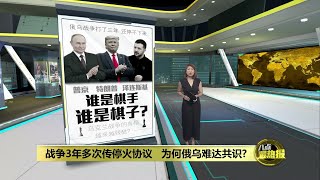俄乌战争能否迎最终和平   特朗普及普京才是拍板人？| 八点最热报 29/04/2025