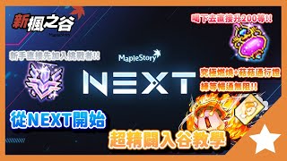 新手回谷玩家必看!!從NEXT版本開始超完整手把手入谷教學~先玩挑戰者伺服器就對啦~｜新楓之谷｜大雄Nobita｜橙之夢