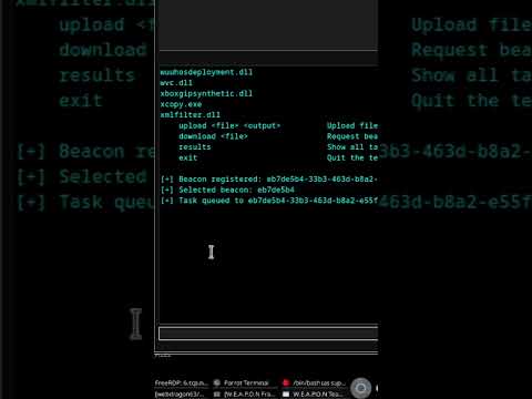 Demonstrating W.E.A.P.O.N Framework #webdragon63 #red_team