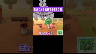 初兎くんの面白すぎるあつ森【#いれいす 】【#いれいす切り抜き 】【#初兎 】【#初兎くん 】【#あつ森】 #shoets