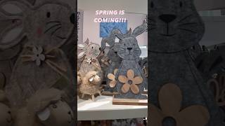spotted cute decorations #springmood #decorationsidea #shopwithme #midaheim #ytshorts