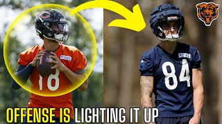 CALEB WILLIAMS & The Chicago Bears TRAINING CAMP Is Starting To HEAT UP... | Bears News |