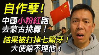 自作孽！中國小粉紅跑去蒙古挑釁，結果被打掉7顆牙！大使館不理他！｜北美王律觀台海第327期｜ Chinese Nationalist Beaten in Mongolia !