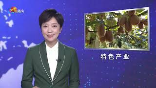 黔南新闻联播20231008 194028