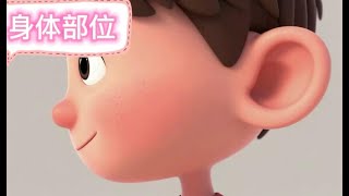 身体部位 ｜学中文 | Learn Body Parts in Chinese for Kids｜学中文｜适合儿童的身体词语｜中文字卡｜汉语拼音和词语系列11