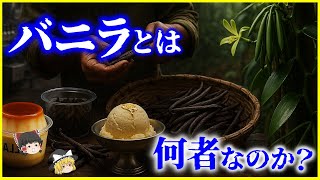 【ゆっくり解説】97％はニセモノ!?実は石油で作られている？「バニラ」とは何者なのか？を解説/なぜバニラは「金」を超える価値を持つ？甘い香りの進化と合成バニリンの裏側