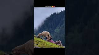 saiyara best scene. #yrfnewreleases​ #yrf​ #yashrajfilms​ #yrfmovies​ #yrfmusic​