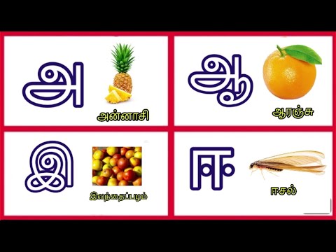 உயிரெழுத்துக்கள் / அ ஆ இ ஈ… / அ  அன்னாசி../ Tamil vowel for kids