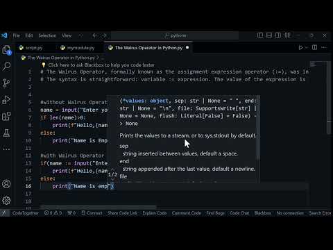 The Walrus Operator in Python