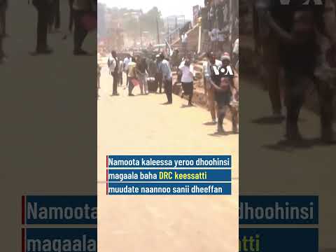 Dhoohinsa Magaala DRC Bukaavuu Keessatti Kaleessa Dhaqabe | VOA Afaan Oromoo