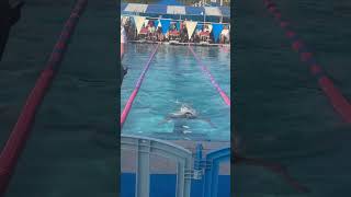 Prelims- 50 yard breaststroke, 37.88
