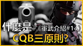 CQB的三原則是什麼？ | ACG軍武介紹#14 | ft.《Ready or not嚴陣以待》