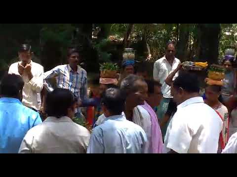 Pochamma bonallu