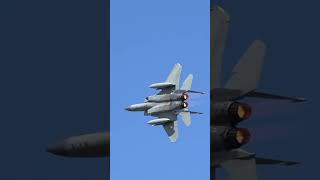 McDonnell Douglas F-15 Eagle -Low Pass