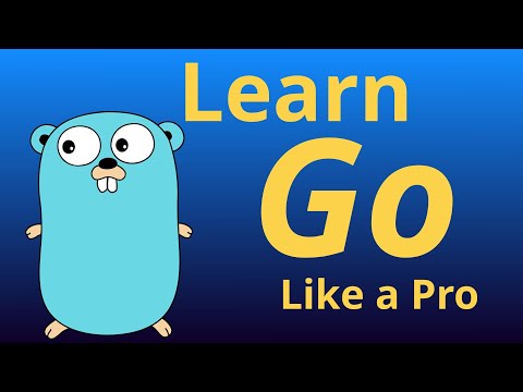 Learn Go Like a Pro: Step-by-Step for Beginners