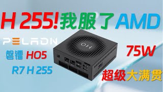 【English subtitle】PELADN HO5 Ryzen 7 H255 Mini PC Review!