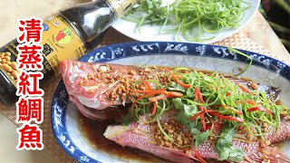 怎樣做鮮甜美味的清蒸紅鯛魚 Steamed Red Snapper Fish