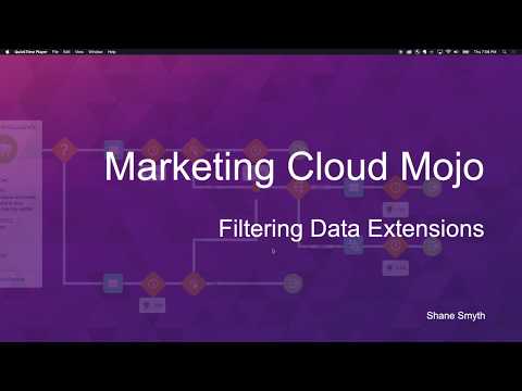 Filter Data Extensions