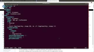 Demo: Liveness Command