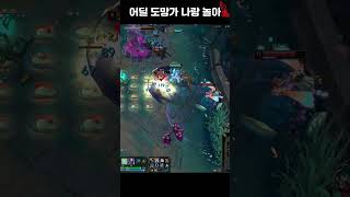 탈리야 궁으로 탈리야 궁 쫓아가는 희귀장면 ㅋㅋㅋ