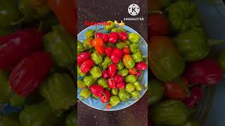 Pachamulak #shorts #trending #arifhomecookingandvlogs