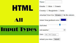 HTML Bangla Tutorial  All Input Types | Class 4