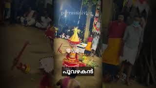 പൂവഴകൻ/shorts trending virelvideo parrassinivlog kerala festival