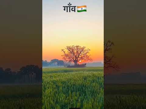 My Village #viralshorts #tranding #villagelife #villagevlogs