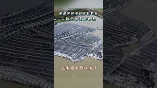 颱風過境重創嘉義布袋 災後空拍畫面曝光 #shorts @ChinaTimes #颱風 #嘉義 #空拍