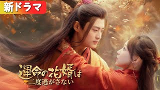 義妹に恋人を奪われたので乞食と結婚したら、まさかの皇帝だった！『運命の花婿は二度逃がさない』#netshort #ショートドラマ #短編ドラマ #中国ドラマ #日本語字幕#キスシーン#ラブコメ