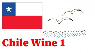 Wine Shop Buster : Chilean Wine Guide -1 | FREAKING LONG country makes DIVERSE WINES!