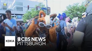 Anthrocon expected to generate nearly $22 million for Pittsburgh businesses, report says