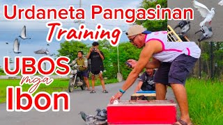 North Derby Training,Urdaneta Pangasinan Ubos mga ibon