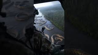 Oh my God, an incredible discovery in the Amazon Rainforest!