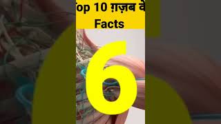 Top 10 Facts | Amazing Facts | Interesting Facts#Shorts #Short #YoutubeShorts #Anandfacts