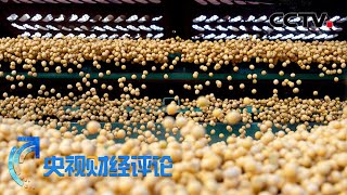 国际粮价“高烧”不退 还会“热”多久？「央视财经评论」20210908 | CCTV财经