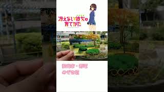 冴えない彼女の育てかた  聖地巡礼  のぞき坂・都電・和光市   How to Raise a Boring Girlfriend