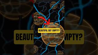 Loop Quantum Gravity: Brilliant, Beautiful, Empty? 🤷🏻 w/ Michio Kaku @bigthink