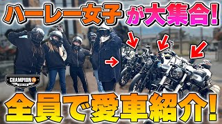 【ハーレー女子】4人のハーレー乗りに愛車紹介をしてもらいました！