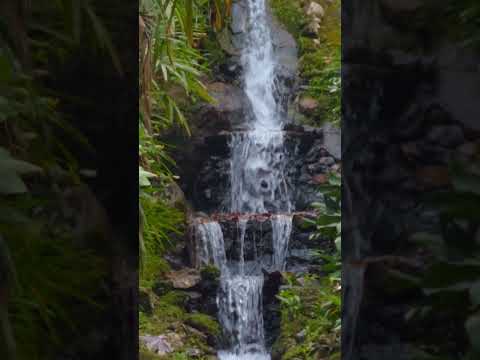 Waterfall in Botanical gardens of Rio #brasil #city #rio #riodejaneiro #travel #nature