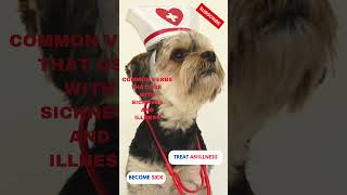 Common verbs that use with sickness and illness #shorts