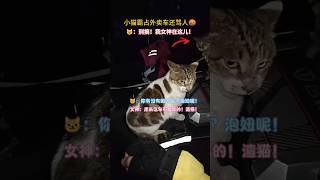 小貓霸佔外賣車還罵人🤬！貓🐱：你沒看見我女神在這兒嗎？女神：渣貓！原來這車不是你的！ #cat #cute #funny #shorts #funnyshorts