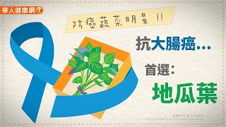 【華人健康網】健康小學堂 - 防癌蔬菜明星！抗大腸癌 ，首選地瓜葉