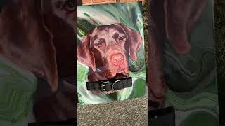 #petportrait #dogmemorial #customart #petloss #souldog #rainbowbridge #grievingpets #pets #dogcollar