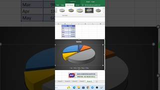 Pie Chart Excel Tips #piechart #chart #excelchart #trendingchart #Viral #shorts #reels #trending