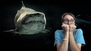 The Sharks Are Onto Me! | Late Shark Week SPECIAL