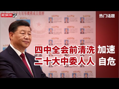 四中全會前淸洗加速｜二十大中委人人自危｜金湘軍究竟靠誰上位｜忠誠度遠勝於能力｜（20250414第544期）#熱門話題