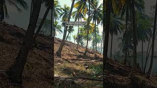 #bukidlife #myfirsttimeinmylifevlog