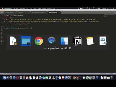 How to Build a Ebay Price Tracker using Python | Proxies API