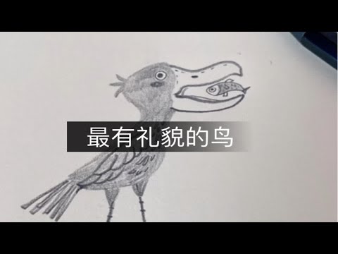 20速写｜铅笔手绘｜世界上最有礼貌的鸟、百分之九十九人不知道！